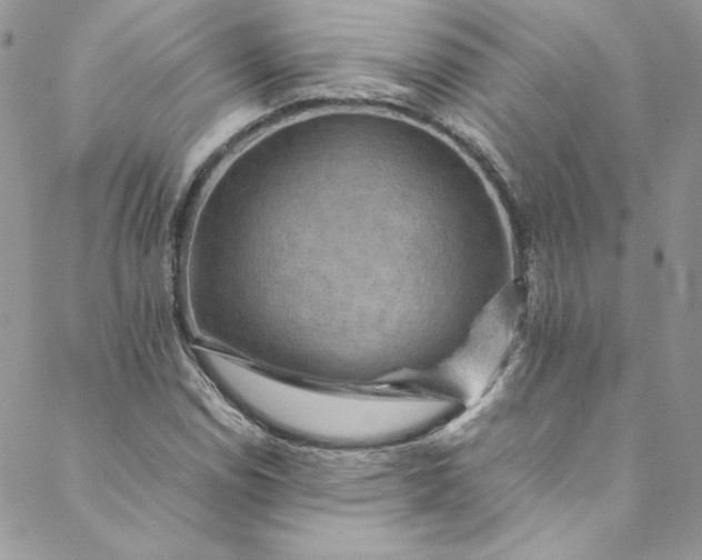 X0000088601114200706081346