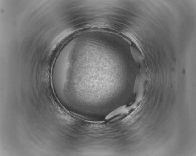 X0000088601115200706081346