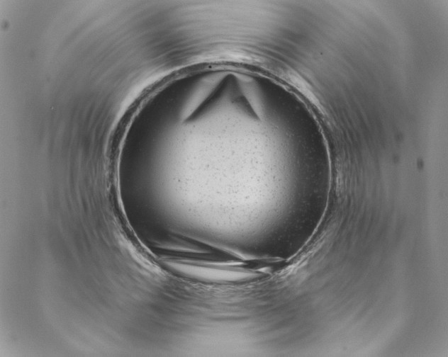 X0000088601116200706081346