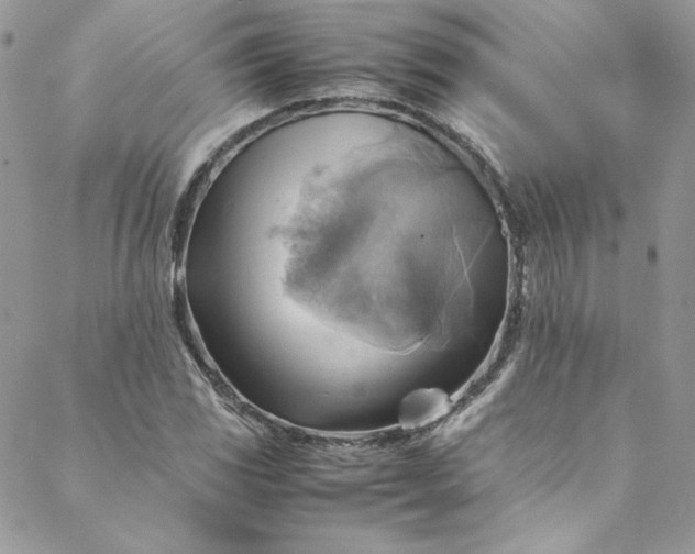 X0000088601117200706081346