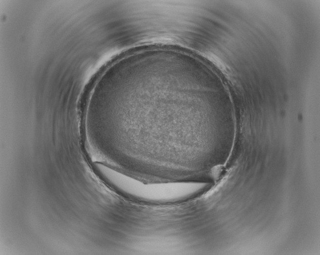 X0000088601118200706081346