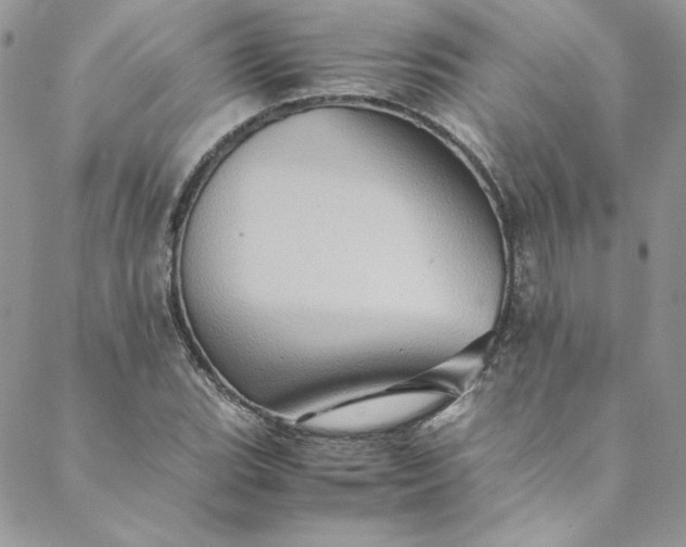 X0000088601119200706081346