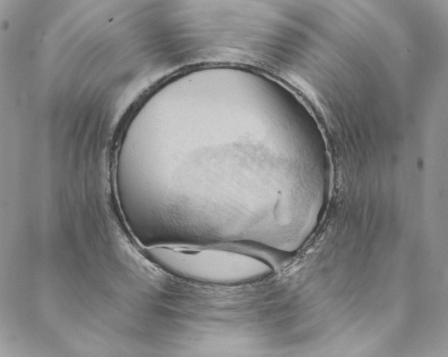 X0000088601120200706081346