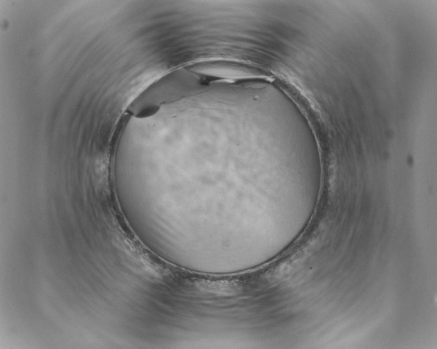 X0000088601121200706081346