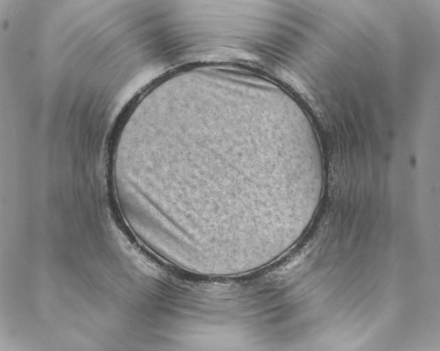 X0000088601122200706081346