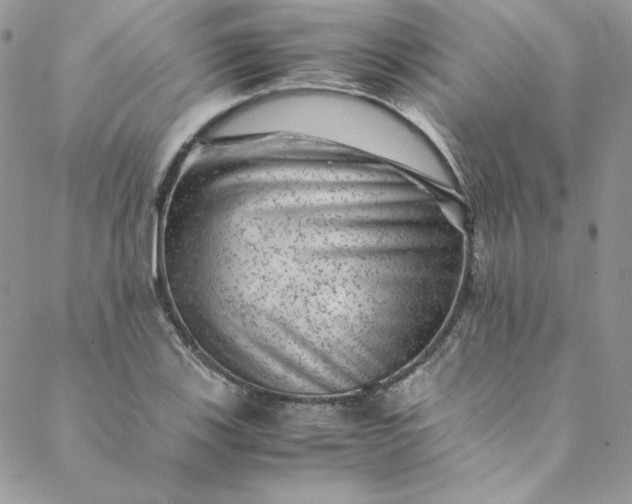 X0000088601123200706081346