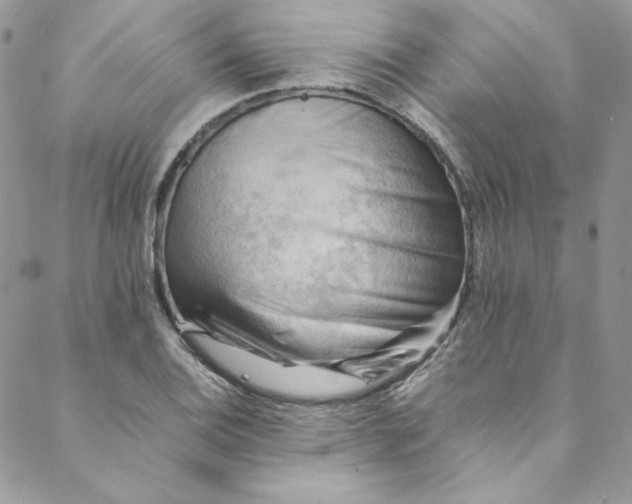 X0000088601124200706081346