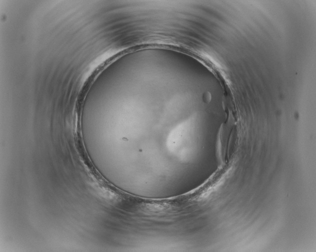 X0000088601125200706081346