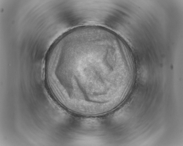 X0000088601126200706081346