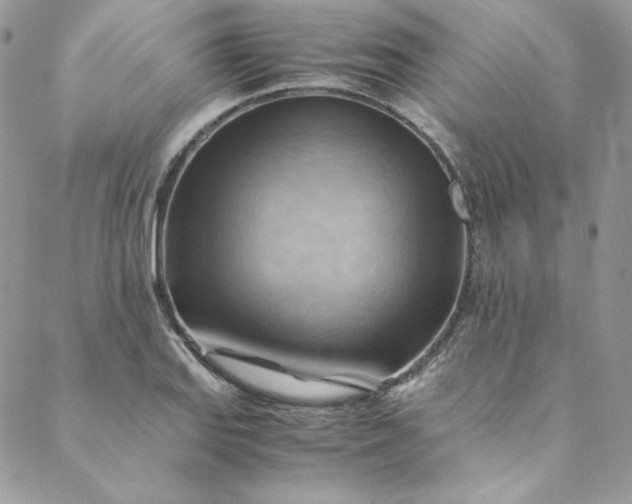 X0000088601127200706081346