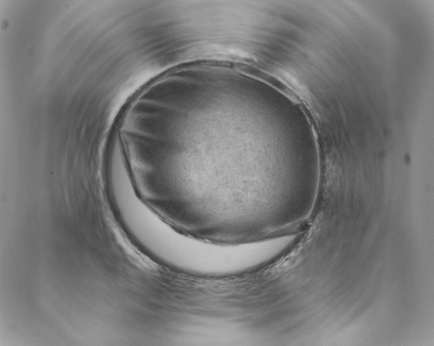 X0000088601128200706081346