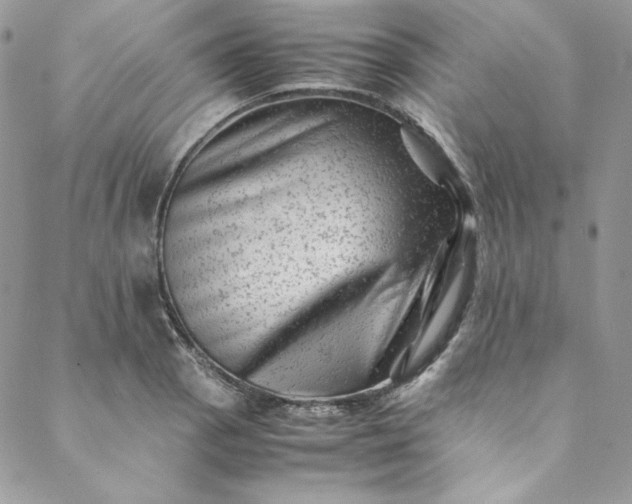 X0000088601129200706081346