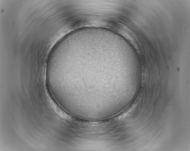 X0000088601130200706081346