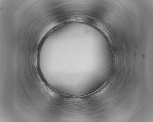 X0000088601131200706081346