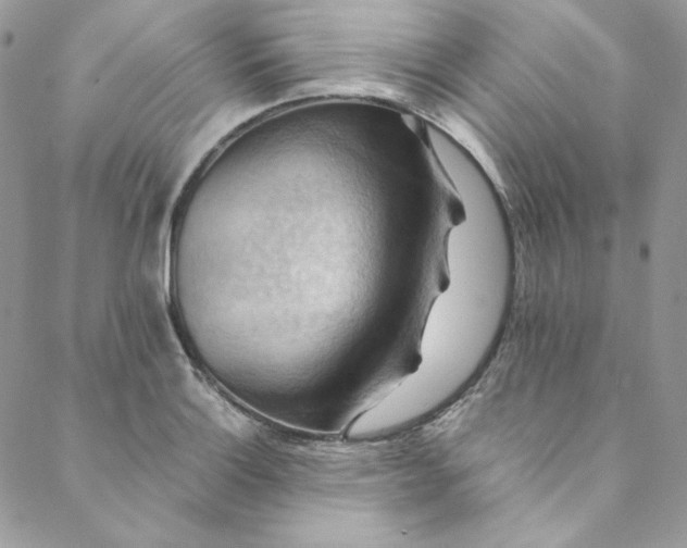 X0000088601132200706081346