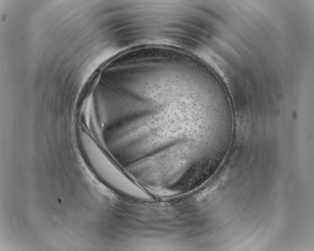 X0000088601133200706081346