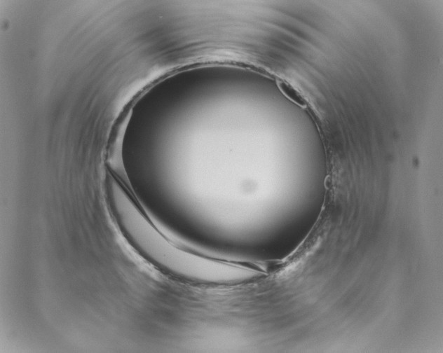 X0000088601134200706081346