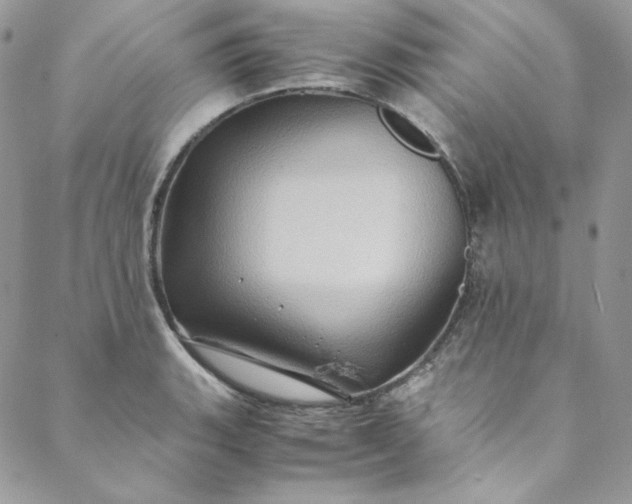 X0000088601135200706081346