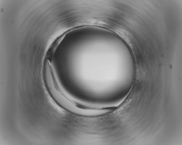 X0000088601136200706081346