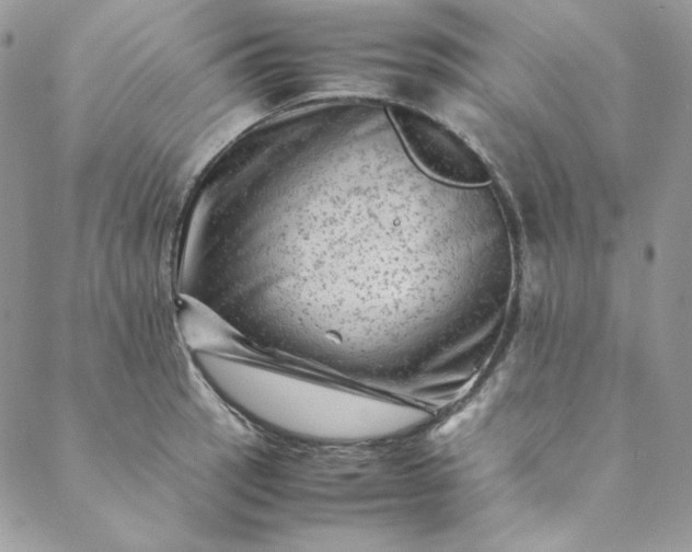 X0000088601137200706081346