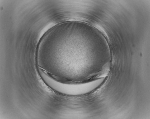 X0000088601138200706081346