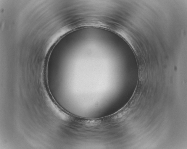 X0000088601139200706081346