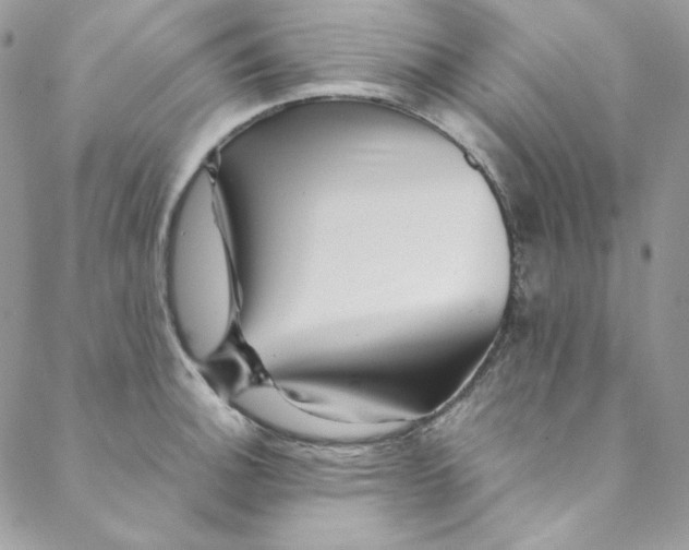 X0000088601140200706081346