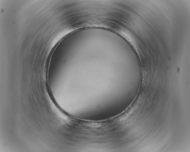 X0000088601141200706081346