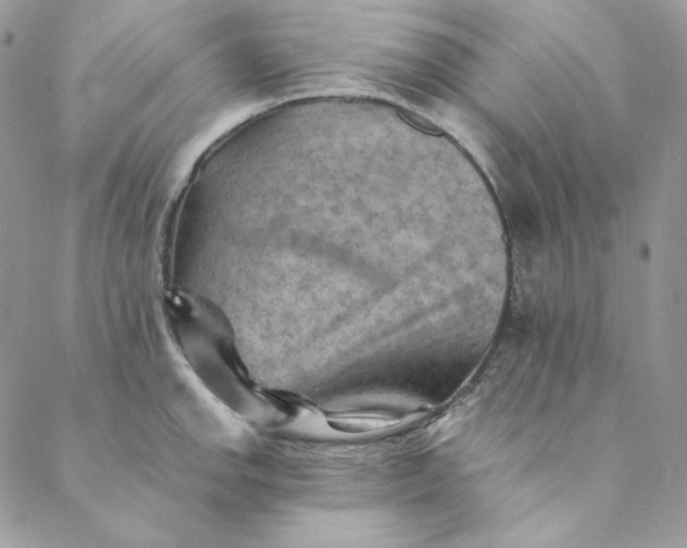 X0000088601142200706081346