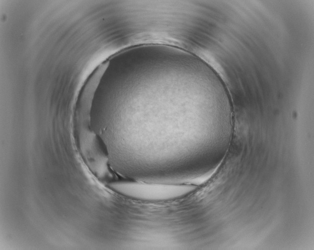 X0000088601144200706081346