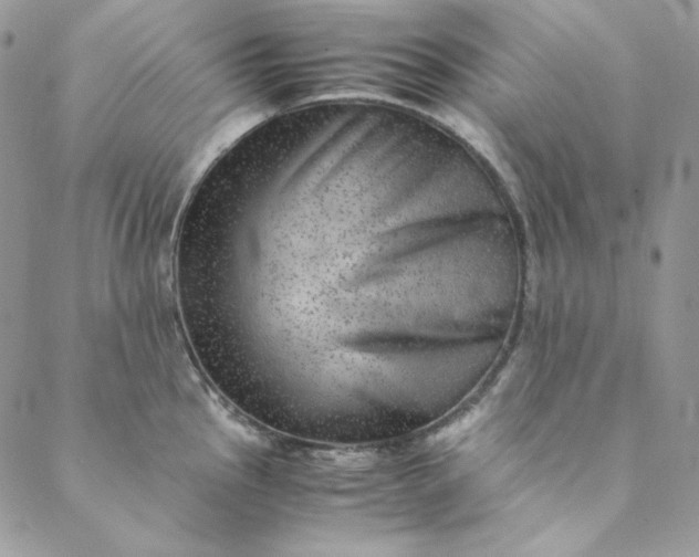 X0000088601145200706081346