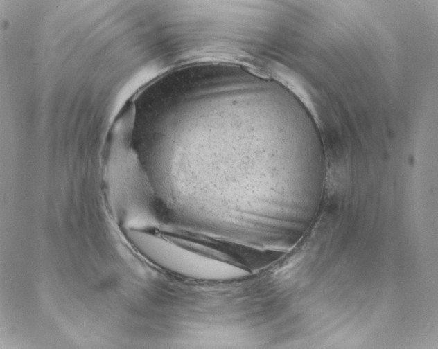 X0000088601146200706081346