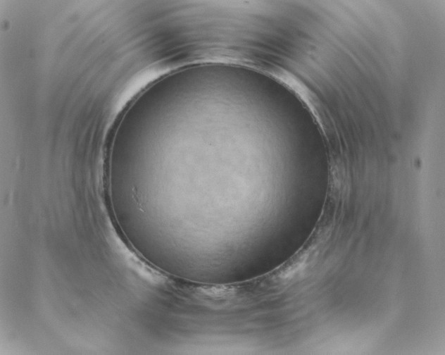 X0000088601147200706081346