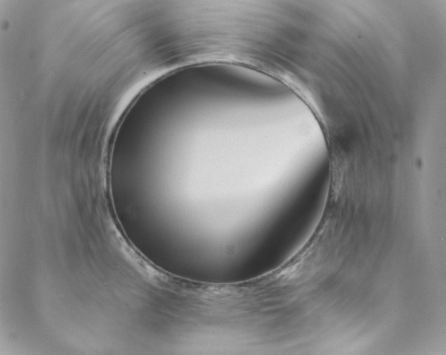 X0000088601148200706081346