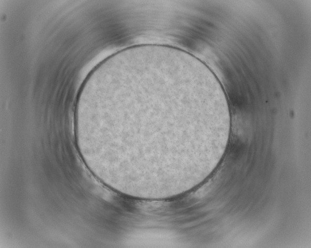 X0000088601150200706081346