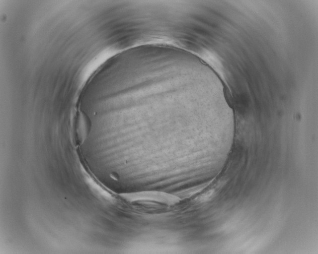 X0000088601151200706081346