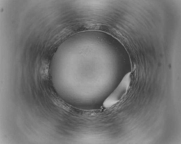 X0000088601154200706081345