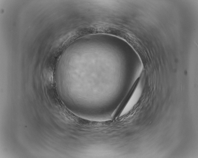 X0000088601155200706081345