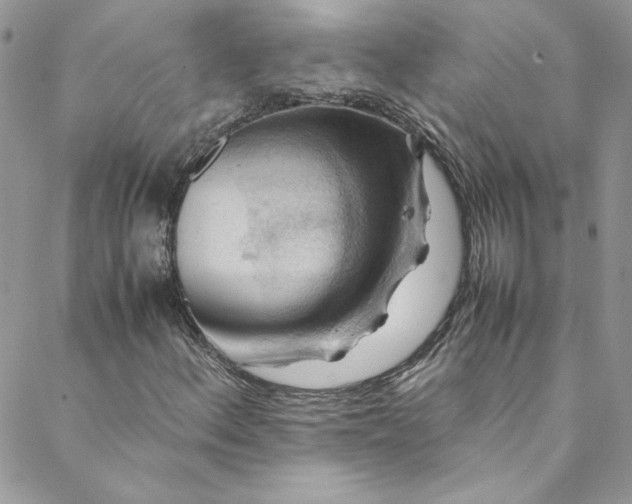 X0000088601156200706081345