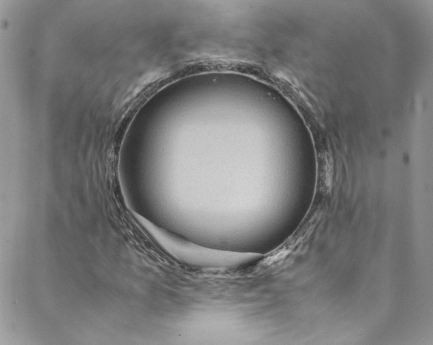 X0000088601157200706081345