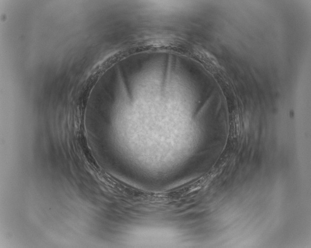 X0000088601158200706081345