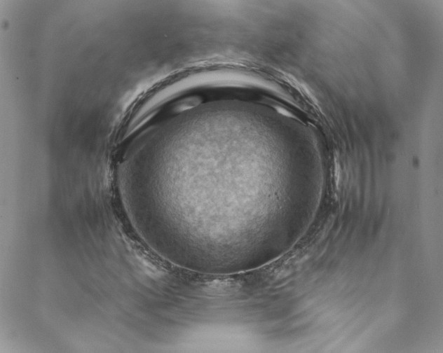 X0000088601160200706081345