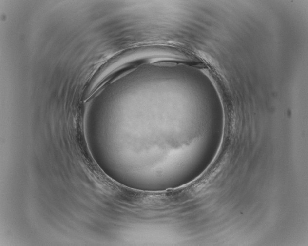 X0000088601161200706081345