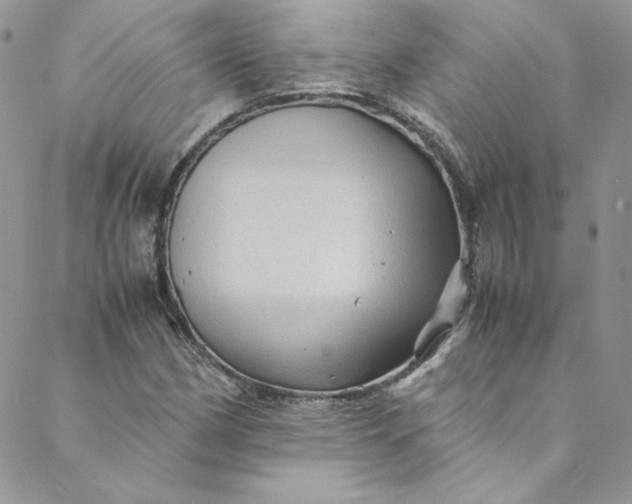 X0000088601162200706081345