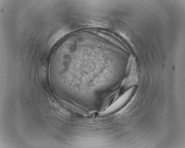 X0000088601163200706081345