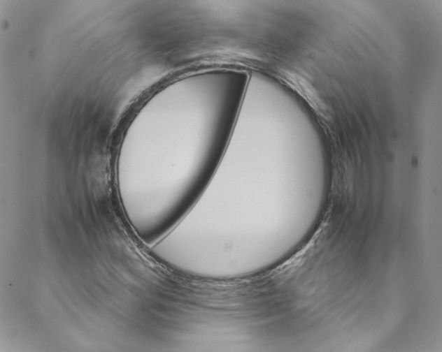 X0000088601164200706081345