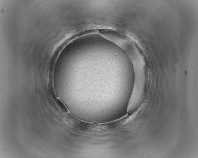 X0000088601165200706081345