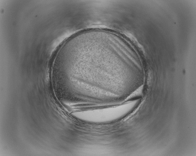 X0000088601167200706081345