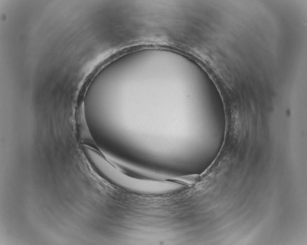 X0000088601168200706081345