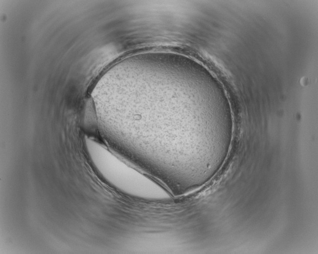 X0000088601169200706081345